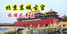 黑人大鸡巴操荡妇中国北京-东城古宫旅游风景区